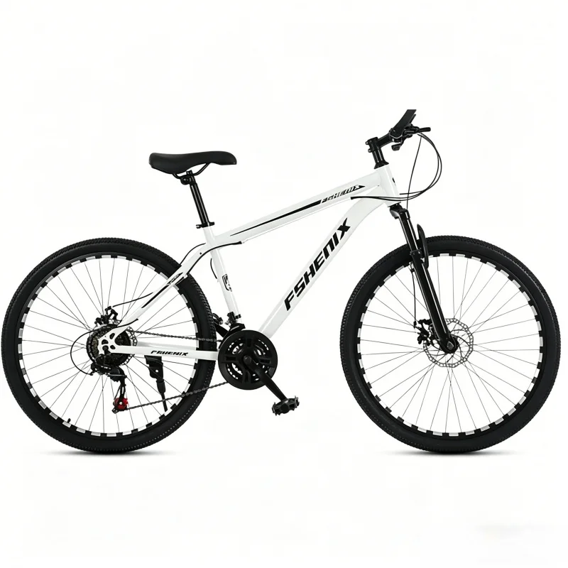 Adult 21 Speed Mountain Bike 2 - Mountain Biking Gear For Men incelemesi ve fiyatı
